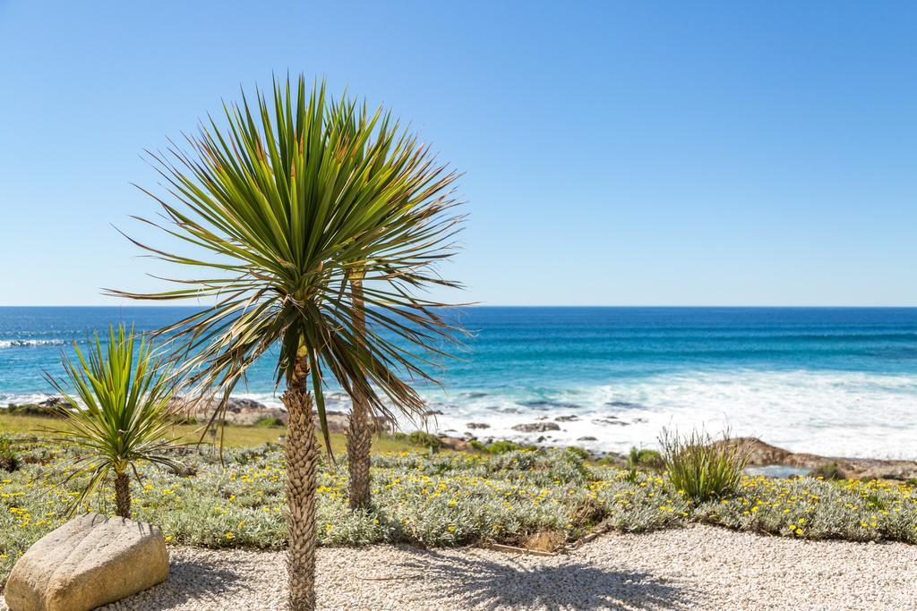 Saltwater - Absolute Oceanfront, Fire Pits, Some Villas With Hot Tubs And Sauna Falmouth Exterior foto